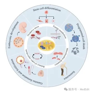 null 微信图片_20251011145729_216_2.jpg